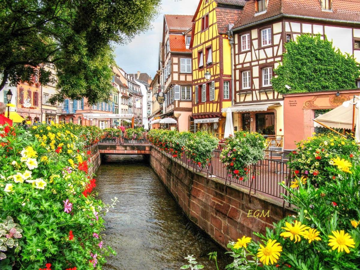 Magnifique Gite Le Clos Des Pierres Route Des Vins D'Alsace Beblenheim Exterior foto
