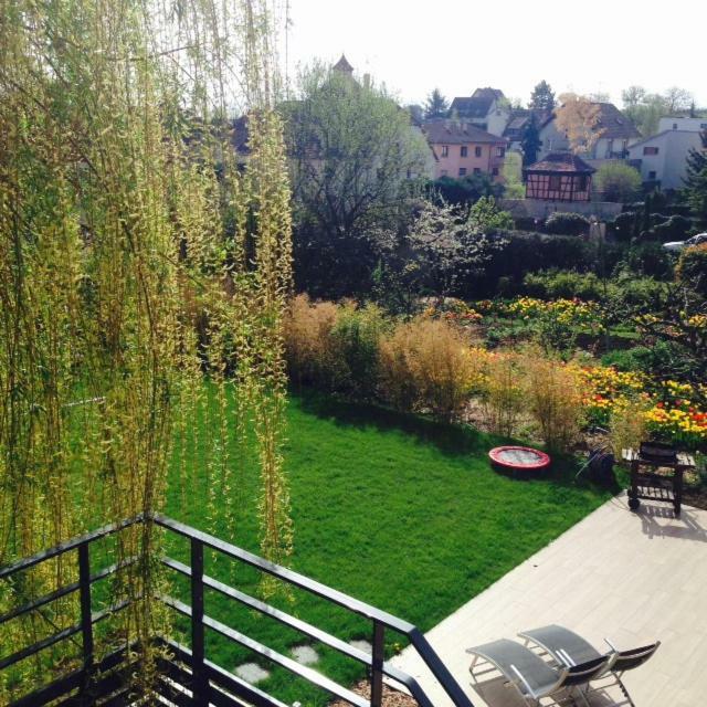 Magnifique Gite Le Clos Des Pierres Route Des Vins D'Alsace Beblenheim Exterior foto